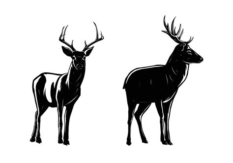 set of deer silhouettes 13140330 Vector Art at Vecteezy