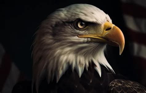 Wallpapers rendering on mobile and desktop