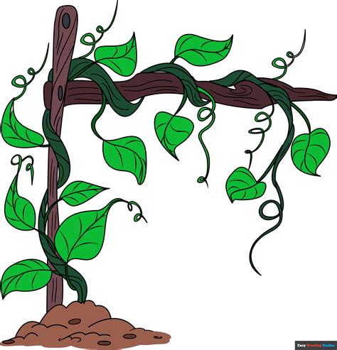 Drawing Vines And Leaves