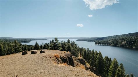 State Park Weddings Venues: Everything You Need to Know