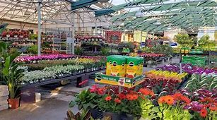 Image result for Lowe's Lawn and Garden