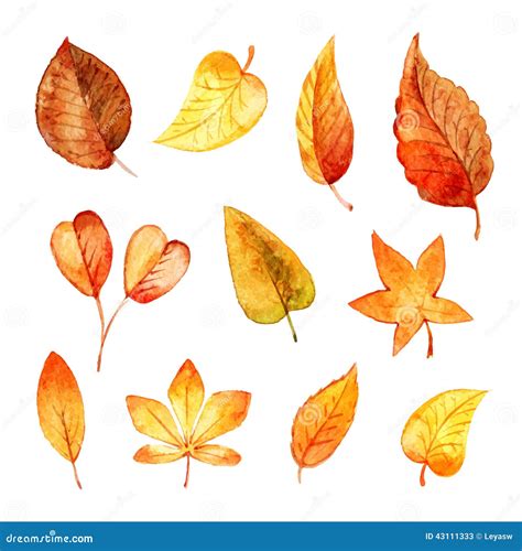 Set Autumn Leaves Watercolor. Stock Vector - Illustration of autumn ...