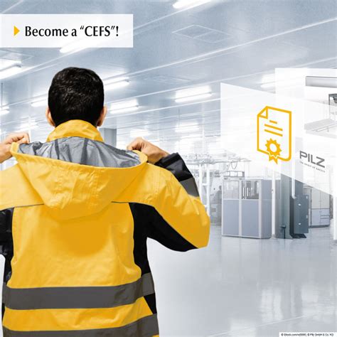 What is a “CEFS” A CEFS: is an expert in the functional safety of ...