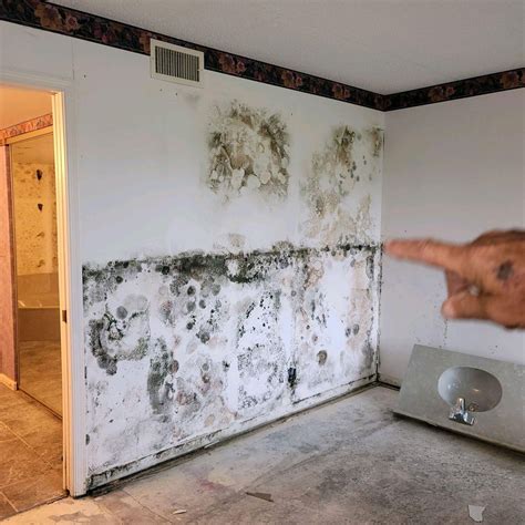 Home Exercise Program for Beginners 的图像结果