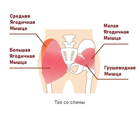 Травмы на велосипеде | Как устранить 6 наиболее распространенных видов ...