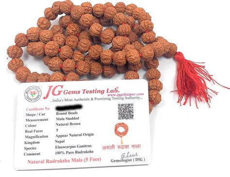 Petrichor Certified Original Rudraksha Mala (Brown, 9-10mm) with ...