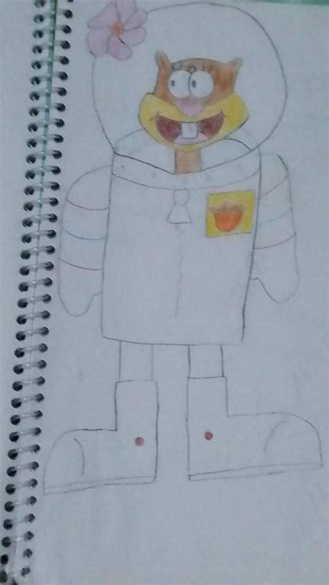 Image result for Sandy Cheeks Outline