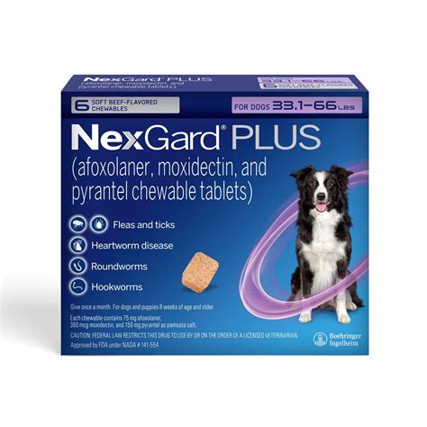 NexGard Plus vs NexGard Spectra: Flea & Tick Protection