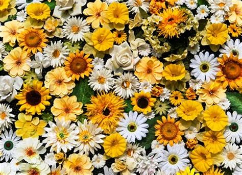 Image result for Build a Little Interface with Python