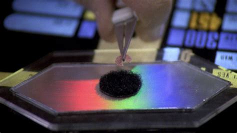 Primal Behavior Chip 的图像结果