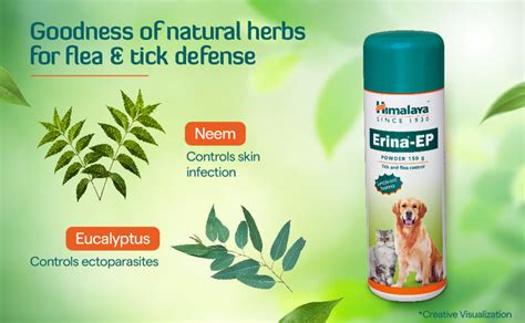 Himalaya Erina-EP Powder – Himalaya Wellness (India)
