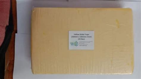 Fruit Fly Trap - Yellow Sticky Trap 200mm Trader - Wholesaler ...