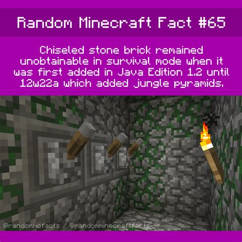 Yet Even More Random Minecraft Facts : r/Minecraft