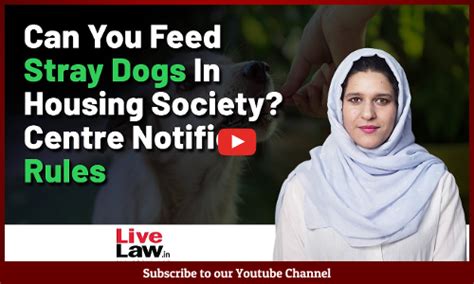 Read all Latest Updates on and about Stray Dogs