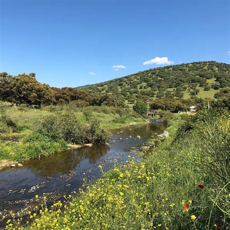 THE BEST Places to Visit in Fuentes de Leon (2026)