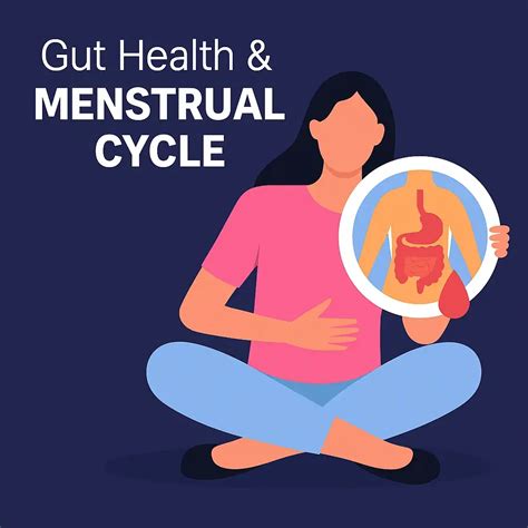 Gut Health & Menstrual Cycle: Period Diarrhea, PMS & Digestive Issues ...