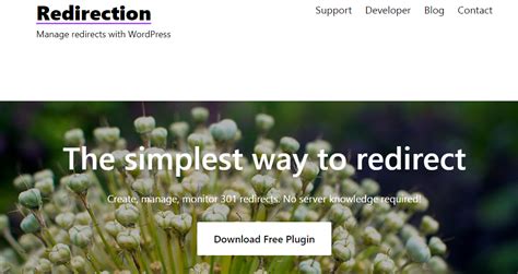 WordPress Redirection 的图像结果