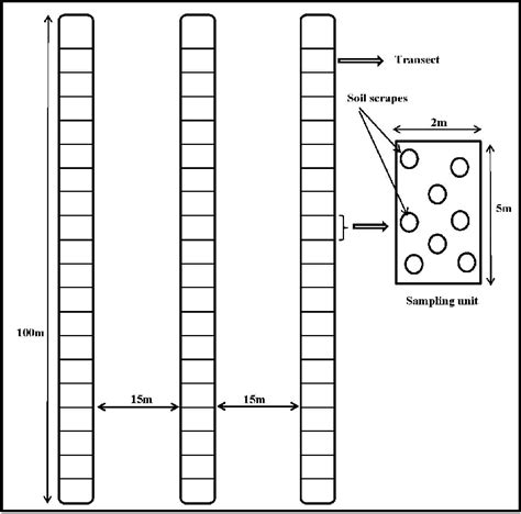 Image result for Transects Method