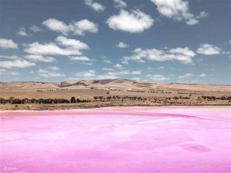 Adelaide Pink Lake & Penfolds Magill Estate Day Tour (Including Lunch ...