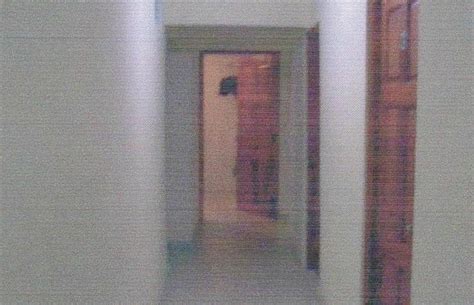HOSTAL CIGARRA (Panama/Panama City) - Hostel Reviews, Photos, Rate ...