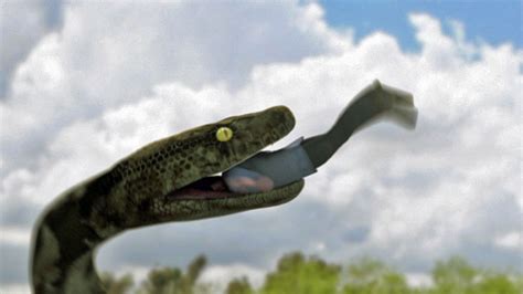 Image result for Mega Python vs Gatoroid Party Fight