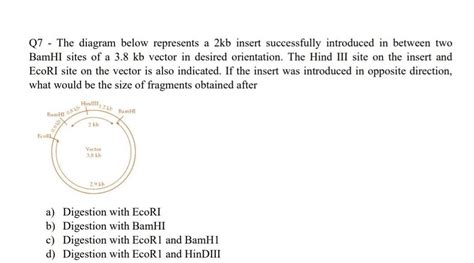 Q7 - The diagram below represents a 2kb insert successfully introduced ...
