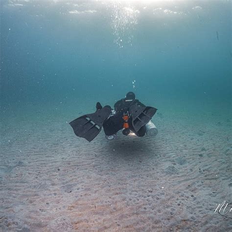 UNDERWATER NARVIK (2026) All You Need to Know BEFORE You Go (with ...