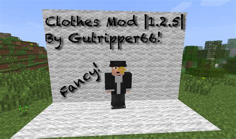 Image result for Minecraft Tailor Mod