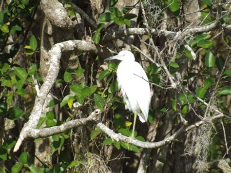 Middleton's Fish Camp (Vero Beach) - All You Need to Know BEFORE You Go