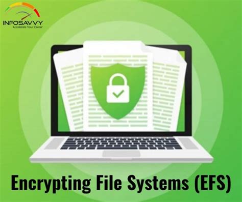 EFS Encryption 的图像结果