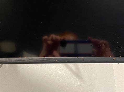 DEVON SHORES (Clearwater) - Hotel Reviews, Photos, Rate Comparison ...