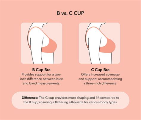 Cup Size Examples 的图像结果