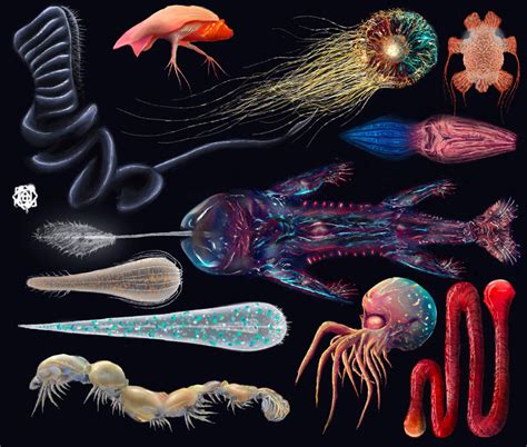 Image result for Alien Sea Creatures