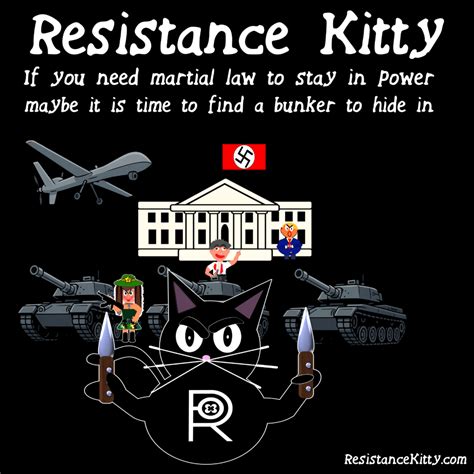 May 1 2025, Day 102 - Resistance Kitty