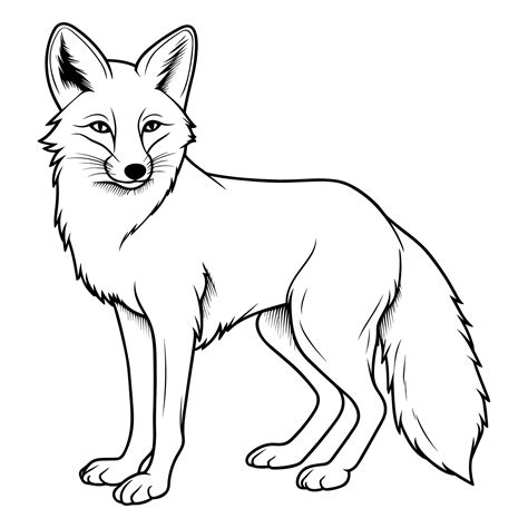 Coloring Pages Fox - Download Free Printable