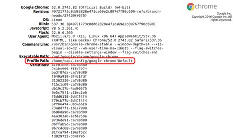 Image result for Google Chrome Source Code