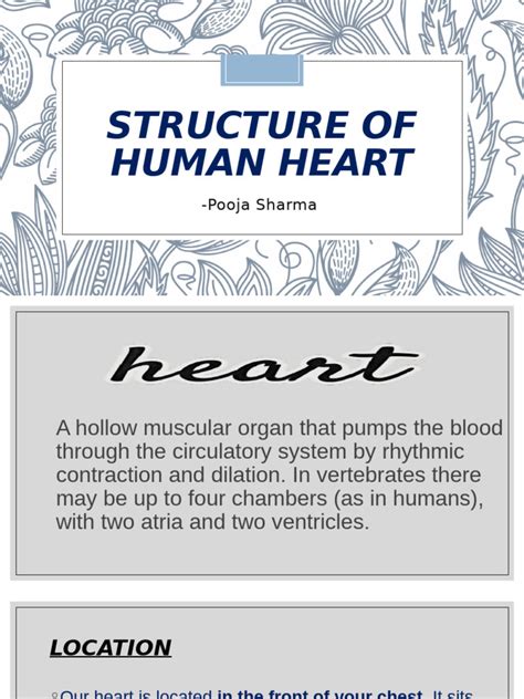 Heart Structure Tutorial 的图像结果