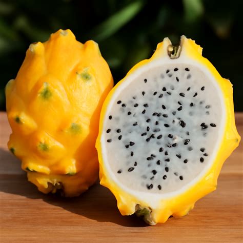 Yellow Dragon Fruit: A Complete Guide to Growing and Enjoying This Exo
