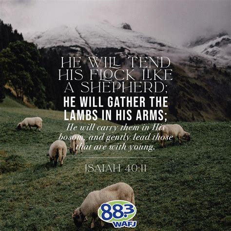 Verse of the Day - Isaiah 40:11 | 88.3 WAFJ