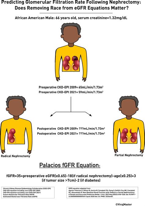 Performance of Future Glomerular Filtration Rate Equation by Race in a Large, Racially Diverse ...