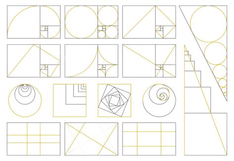 Golden Ratio PNG, Vector, PSD, and Clipart With Transparent Background ...