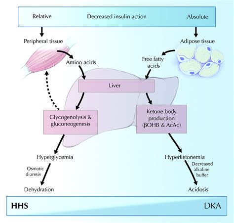 Hyperosmolar Nonketotic Coma - Endocrine - Medbullets Step 1