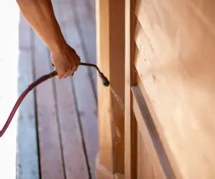 About MM Pest Control | Trusted Pest Control Experts