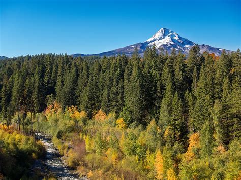 Image result for Learning to Fly Drones