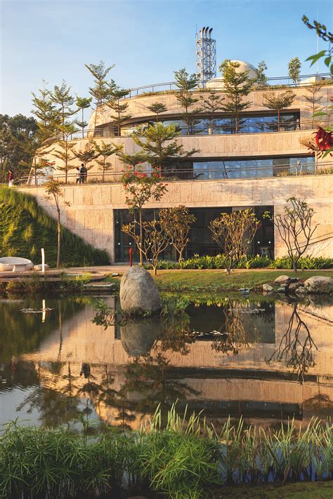 Architects and designers are turning to biophilia to bring nature ...
