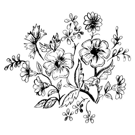 Free Download Hand Drawn Flower Vector Image