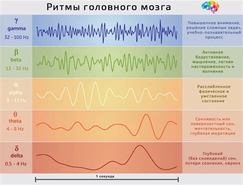 1. Метод электроэнцефалографии. Ритмы ээг.