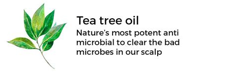 Foxy.in : Buy Brillare Dandruff Control Shampoo + Oil Shots online in ...