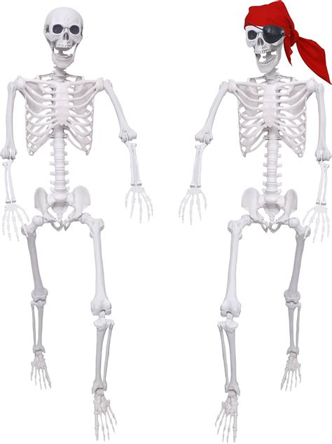 IDMOP 2 Pack 5.4Ft Halloween Skeletons Posable Skeletons India | Ubuy