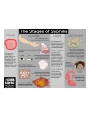 Image result for Syphilis Testing Algorithm Mayo